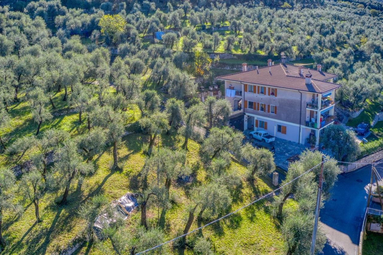 Casa Maya برنزوني سول جاردا المظهر الخارجي الصورة
