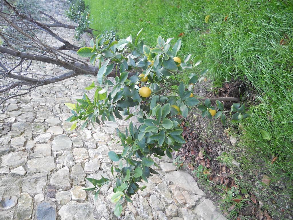 Casa Maya برنزوني سول جاردا المظهر الخارجي الصورة